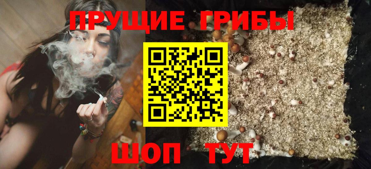 Псилоцибиновые грибы Psilocybe  Вход с VPN  Гудермес  Псилоцибиновые грибы Psilocybine cubensis 